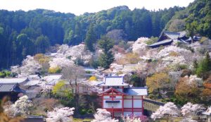 総本山 長谷寺