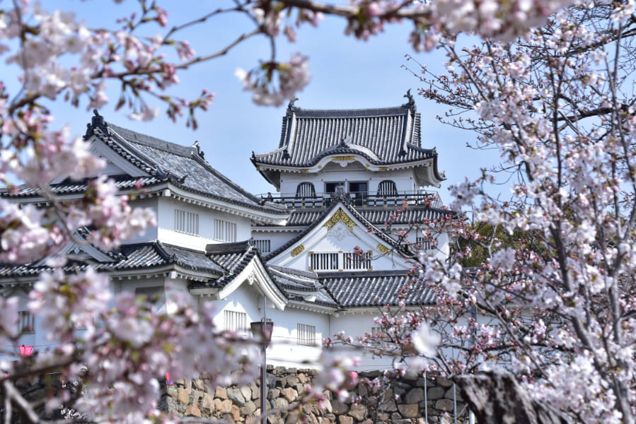 岸和田城 - 大阪・奈良楽遊パス - 新都と古都を巡る旅